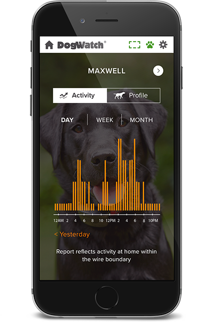 dw-phone-activity-2-1x-3 DogWatch by Heartland Pet Resort, Spencer, Iowa | SmartFence WebApp Image