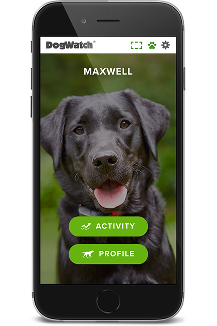 dw-phone-home-2-1x-2 DogWatch by Heartland Pet Resort, Spencer, Iowa | SmartFence WebApp Image