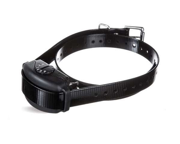 DogWatch by Heartland Pet Resort, Spencer, Iowa | BarkCollar No-Bark Trainer Product Image